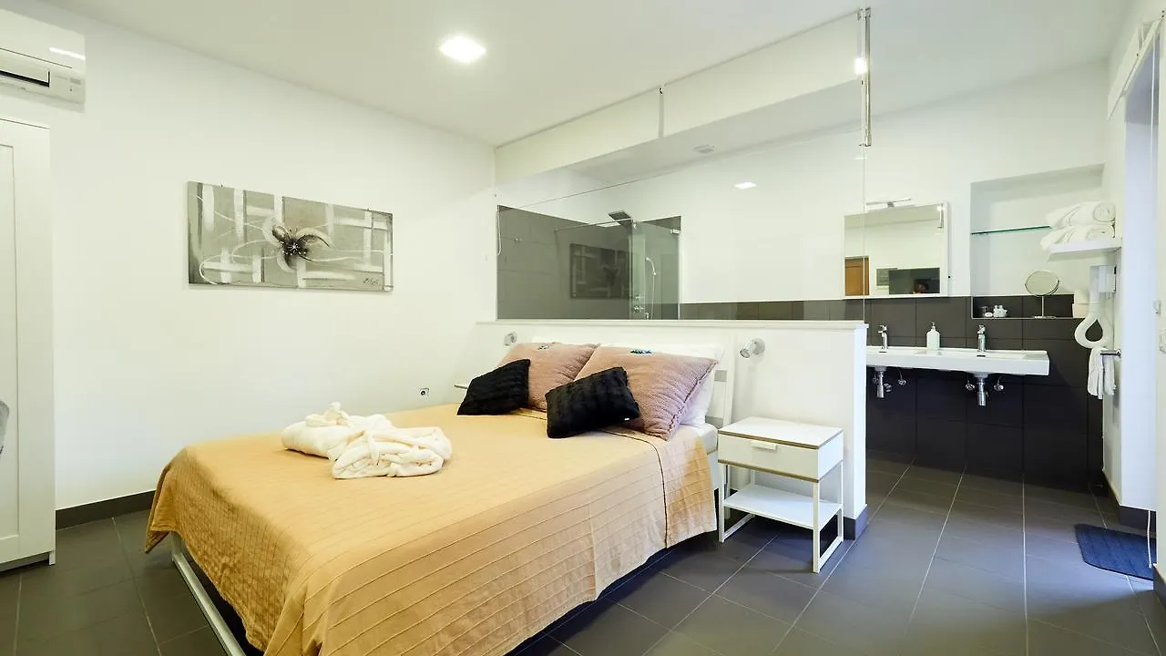 Wellness Villa Istriana Murine